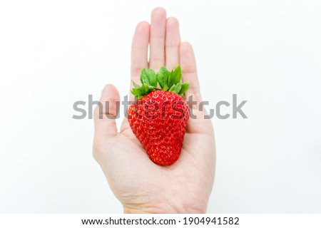 Red fresh strawberry fruit on hand Take a picture with a white backdrop.
