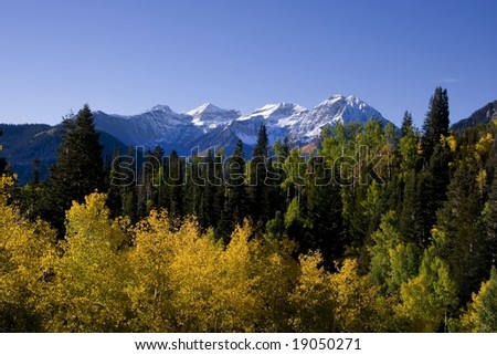 Fall colors on a high mountain meadow with blue sky and clouds