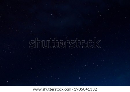 Stars at night with backlit trees Royalty-Free Stock Photo #1905041332