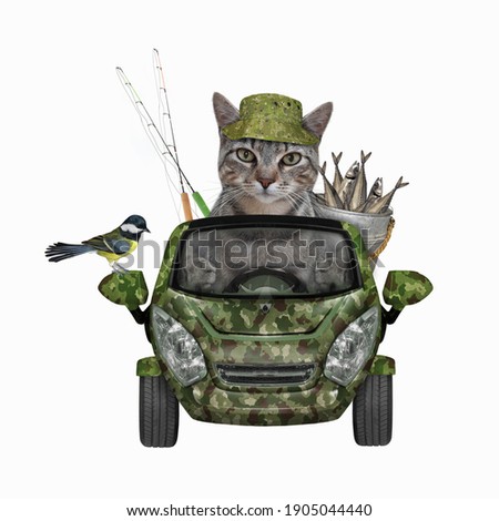 A gray cat fisher drives a car with a metal bucket full of fish. White background. Isolated.