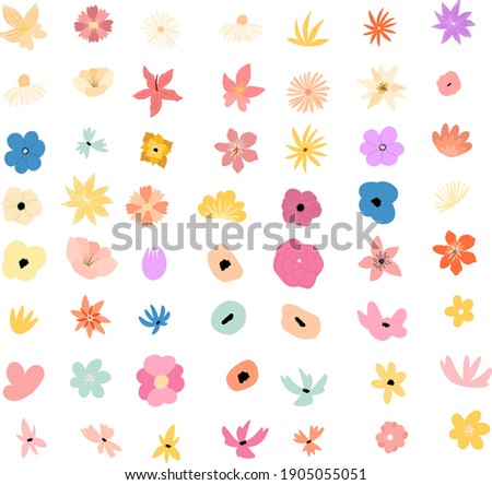 Flat colorful botanical vector illustration. Collection of wild blooming meadow flowers isolated on white background. Bundle of wildflowers used in floristry. Set of decorative floral design elements.