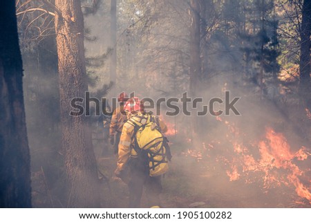 
fire jobs in patagonia argentina