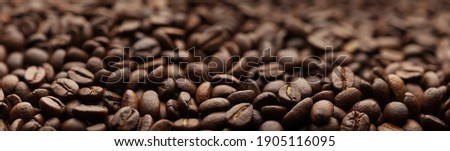 Coffee beans. Macro coffee beans background. Selective focus. Roasted seeds Shallow depth of field. Panoramic Hi-res banner. Royalty-Free Stock Photo #1905116095
