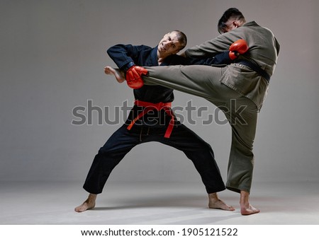 Athletic guys fighting, wearing kimono and boxing gloves on gray studio background with copy space, mixed fight concept
