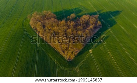 Aerial drone view to copse of love in heart shape at sunrise Royalty-Free Stock Photo #1905145837