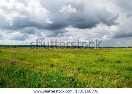 Landscape of nature. The image shows dramatic clouds, a field and a strip of forest.