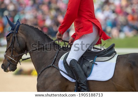 horse rider in show jumping competition showing proper seat position when cantering or approaching fence with red show jumping jacket white jodhpurs horse wearing english leather  tack  Royalty-Free Stock Photo #1905188713