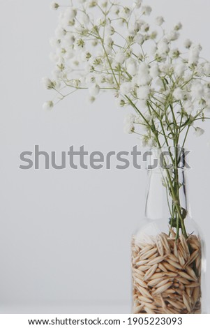 bouquet of white flowers in a bottle on a light background