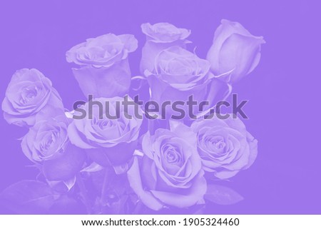 bouquet of beautiful roses with purple tinting.