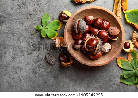 Horse chestnuts and leaves on grey table, flat lay. Space for text Royalty-Free Stock Photo #1905349255