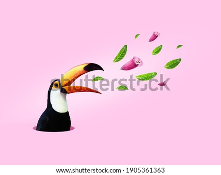 Black and yellow exotic tropical bird toucan crawling out a pink paper hole making announcement with flowers and leaves wallpaper. Creative shout advertising banner idea on a pastel pink background.