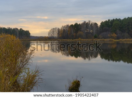 Autumn evening on the shore of a forest lake. The forest growing on the shore is reflected in the water. The tall bushes of grass turned yellow. gray-blue sky with yellow-orange tints 
