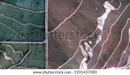  family,   United States, abstract photography of relief drawings in fields in the U.S.A. from the air, Genre: abstract expressionism, abstract expressionist photography, 