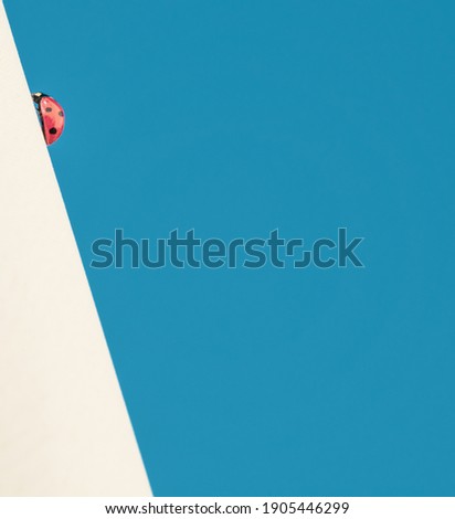 Red ladybug climbing a white wall against a deep blue sky background