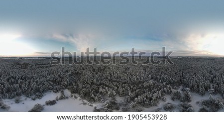 photo from a flying drone, a small planet and a winter landscape, pines and spruces are covered with snow