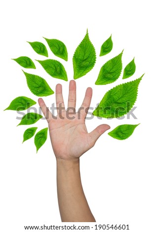 Hand with leaves forming a tree