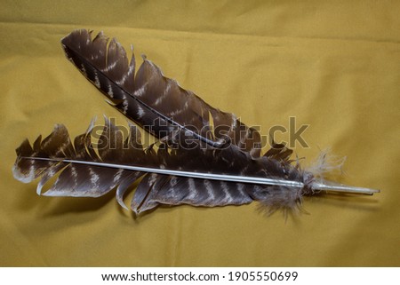 two feathers from the eagle lie on a yellow background 