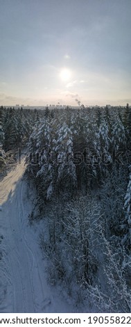 photo from a flying drone, a small planet and a winter landscape, pines and spruces are covered with snow