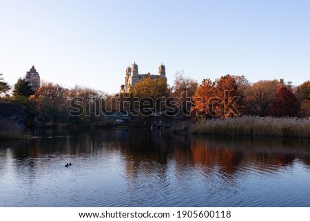 The Turtle Pond at Central Park during an Evening in Autumn with Colorful Trees in New York City