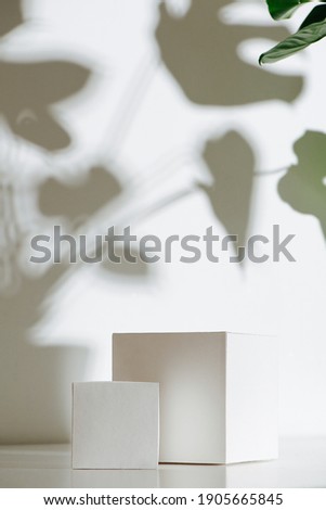 Shady image of two white cubes in front of a white wall with a shadow of big leaves of monstera plant. And one green leaf in the upper corner.