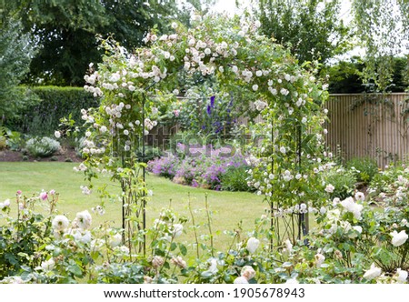 Shrub roses and rambling rose on an arch in a UK garden Royalty-Free Stock Photo #1905678943