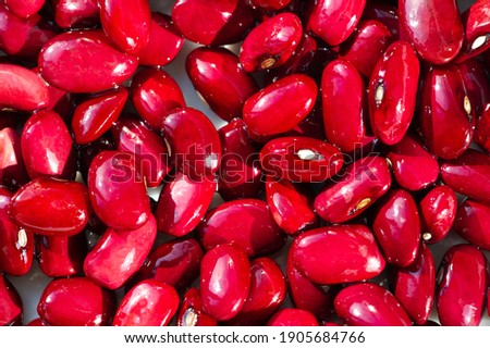 Grocery photography. red beans isolated on white background. it is a variety of common beans (Phaseolus vulgaris). It is named for its visual similarity in shape and color to the bud.