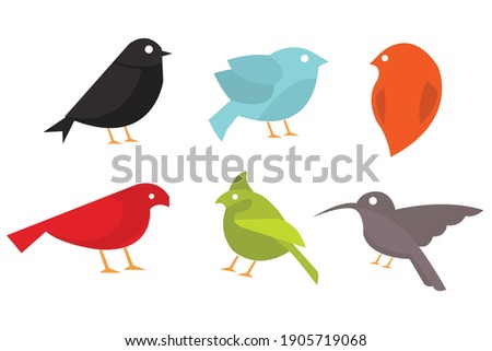 Different kind of Birds vector icons. Flat style vector illustration isolated on white background.