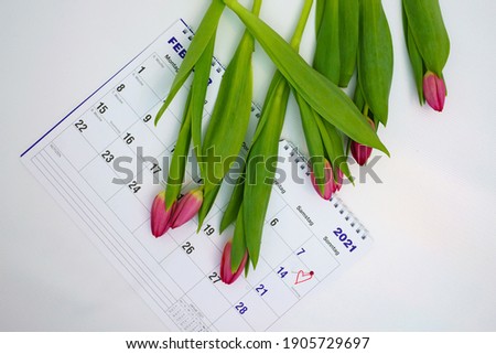 Calendar on a white background with Valentine's Day and tulips. Topview.
