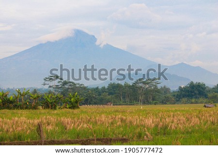  Mount Sumbing which is surrounded by Tidar Hill which is located in Temanggung, Central Java, Indonesia Royalty-Free Stock Photo #1905777472