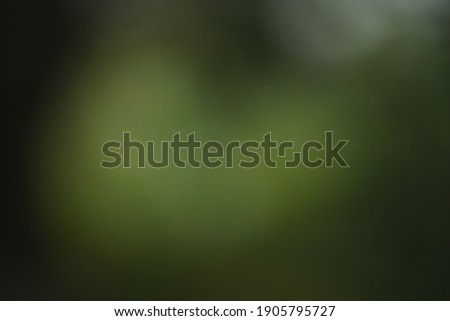 out focus blurry green heart bokeh background natural color
