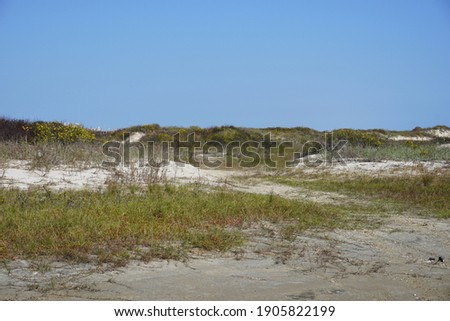 Landscape picture of a sand and marsh, that forms a section of a Texas beach.