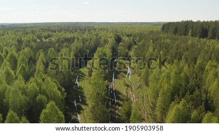 Forest in the Altai Territory of Russia. Drone flight over hills and forests covered with mixed forest. Altai Territory, Siberia, Russia. Royalty-Free Stock Photo #1905903958