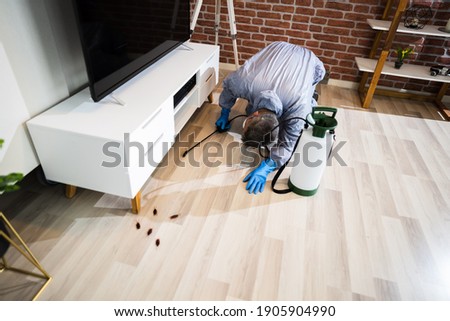Pest Control Exterminator Services Spraying Cockroach Insecticide Royalty-Free Stock Photo #1905904990