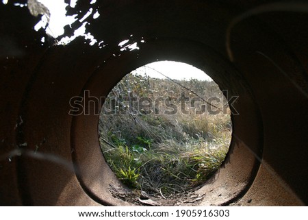 Rusty barrel in the bush