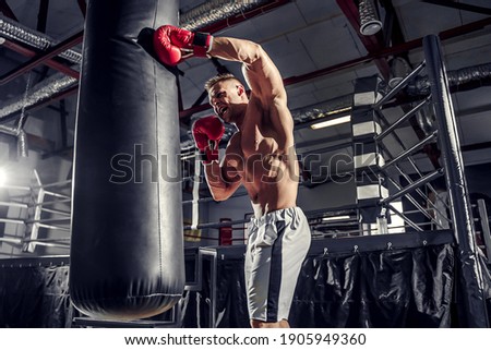 Boxer training on a punching bag in the gym. Royalty-Free Stock Photo #1905949360
