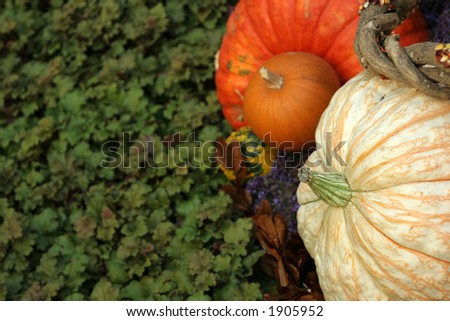 Pumpkin decor