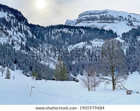 Ice winter atmosphere with fresh snow on the alpine peak Chäserrugg (Chaeserrugg or Chaserrugg) in Churfirsten mountain range and in the Obertoggenburg region, Wildhaus - Switzerland (Schweiz)