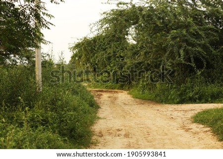 Empty country road in village, Haryana, India.    
