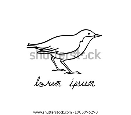 Vector illustration of hand drawn sweet small bird made with ink. Perfect animal design elements, logo template
