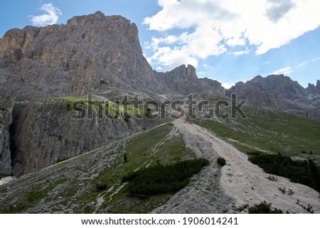 summer landscape in Val di Fassa