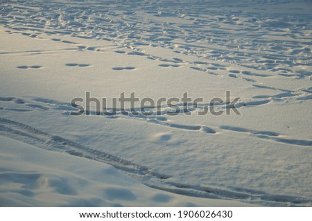 Many human footprints in the snow. Snowy surface with natural lighting. Minimalistic blurred background image.                              