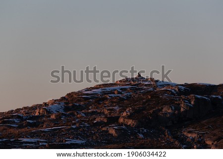 Snow covered hill at dusk with sea eagle sitting on top of a rock on Swedens west coast