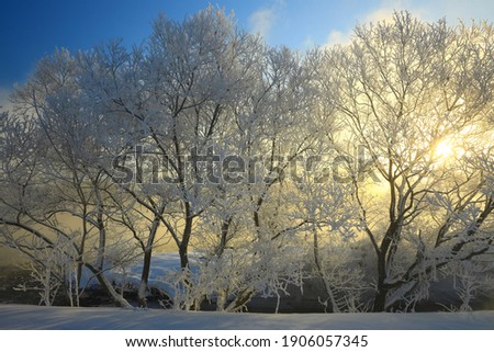 Scenery at dawn in winter, Kitakae City, Iwate Prefecture Royalty-Free Stock Photo #1906057345