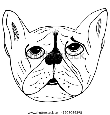 French bulldog. Hand drawn, vector illustration. Motives of pets. Can be used for printing and web design