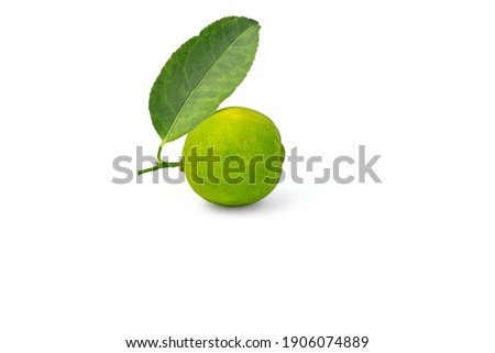 Green lemon with leaves isolated on a white background