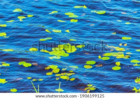 the texture of the blue river water. background of the water reflection texture.  background with high resolution the surface of the water .  River, lake, ripples of Water.