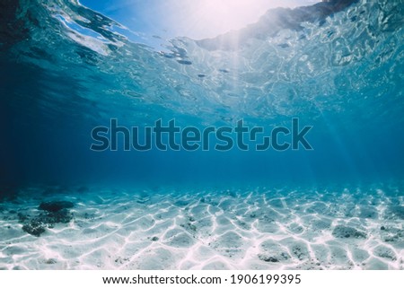 Tropical blue ocean with white sand and stones underwater in Hawaii. Ocean background Royalty-Free Stock Photo #1906199395