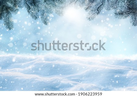 Winter card design. Beautiful fluffy snow and fir tree outdoors