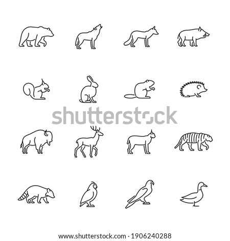 Wild animals and birds vector icons set. Royalty-Free Stock Photo #1906240288