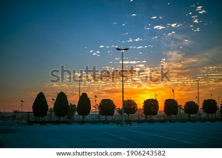 Beautiful sunset view in King fahad park Saudi Arabia. Selective focus background blurred.